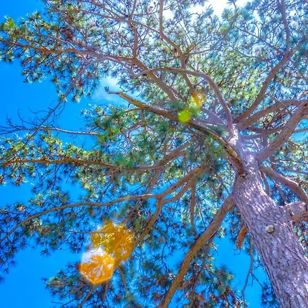 Leon And Leona شقة أوباتيا