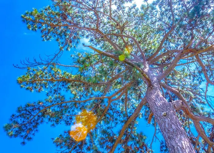 Leon And Leona Apartamento Opatija