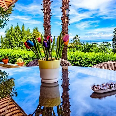 Leon And Leona Apartment