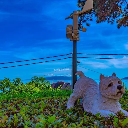 Apartment Leon And Leona